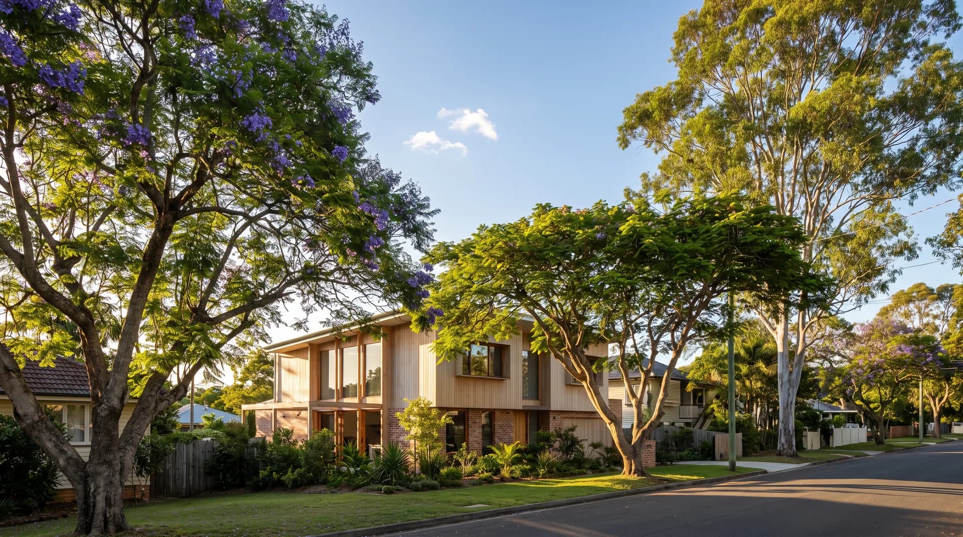 A mature Strathpine street in the Pine Rivers area with a new family home in warm afternoon light